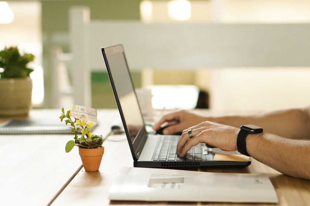 online, connection, laptop, plant, workstation, pot, work, table, workspace, nature, technology